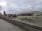 IMG_20241222_093349