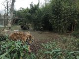 IMG_20241222_111842