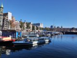 IMG_20250919_105525