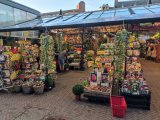 IMG_20250919_192017