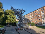 IMG_20230907_173018