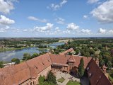 IMG_20260811_115509