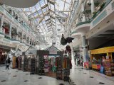 IMG_20240608_104029