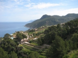IMG_4492.JPG