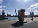 IMG_20250329_115431