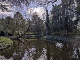 IMG_20250329_125528