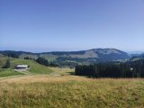 IMG_20250811_095156