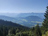 IMG_20250811_103249
