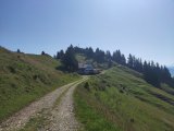 IMG_20250811_103452