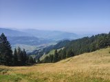 IMG_20250811_110231