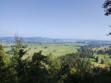 IMG_20250812_100203
