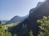 IMG_20250812_100522