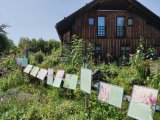 IMG_20250813_141424