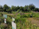 IMG_20250813_141527