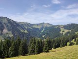 IMG_20250814_121920