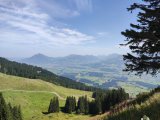 IMG_20250814_122017