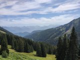 IMG_20250814_134903