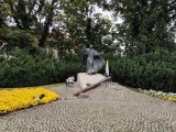 IMG_20241004_085348