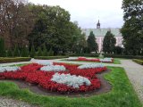 IMG_20241005_093649
