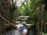 IMG_20241005_122016