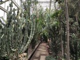 IMG_20241005_122500