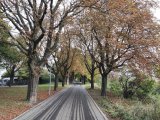 IMG_20241006_092349