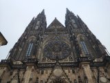 IMG_20241107_105156