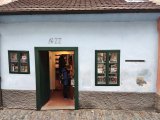 IMG_20241107_114243