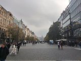 IMG_20241108_123750
