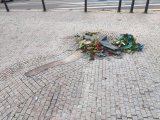 IMG_20241109_113613