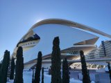 IMG_20251121_113711