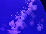 IMG_20251121_122534