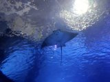 IMG_20251121_134620