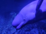IMG_20251121_141839