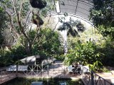 IMG_20251123_130107