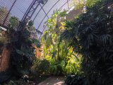 IMG_20251123_130119
