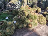 IMG_20251123_130739