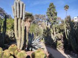 IMG_20251123_130758